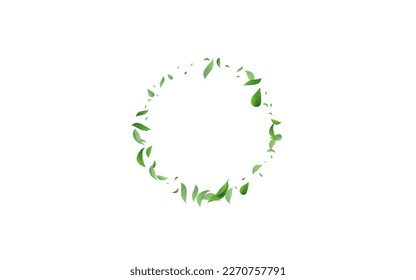 Pancarta de fondo blanco del vector abstracto de Grassy Greens. Concepto de hoja transparente. Folleto de Swirl Foliage Verde. Deja la plantilla de ecología.