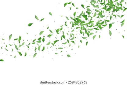 Grassy Greens Abstract Vector White Background Banner. Forest Leaf Brochure. Green Foliage Nature Branch. Leaves Swirl Concept.