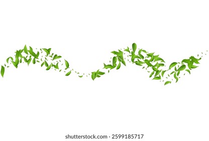 Grassy Greens Abstract Vector White Background Poster. Forest Foliage Illustration. Mint Leaves Wind Backdrop. Leaf Transparent Branch.