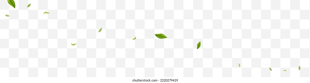 Grassy Greens Blur Vector Transparent Panoramic Background Plant. Falling Leaf Concept. Green Foliage Wind Template. Leaves Flying Border.