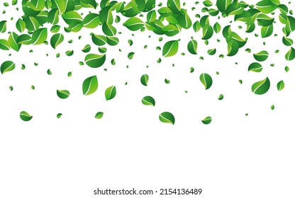 Grassy Greens Blur Vector White Background. Wind Leaf Poster. Mint Foliage Swirl Branch. Leaves Transparent Illustration.