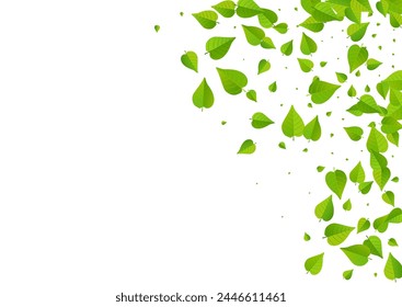 Grassy Greens Blur Vector White Background Banner. Ecology Leaves Design. Mint Leaf Realistic Concept. Foliage Spring Poster.