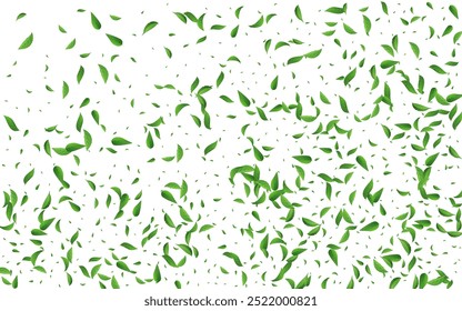 Grassy Greens Ecology Vector White Background Branch. Realistic Leaves Border. Forest Leaf Fly Backdrop. Foliage Tea Illustration.