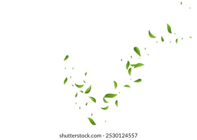 Grassy Greens Ecology Vector White Background Plant. Tree Leaves Template. Green Foliage Transparent Branch. Leaf Fresh Border.