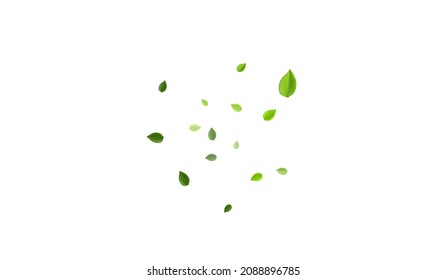 Grassy Greens Falling Vector Plant. Tree Foliage Illustration. Swamp Leaves Fresh Background. Leaf Realistic Poster.