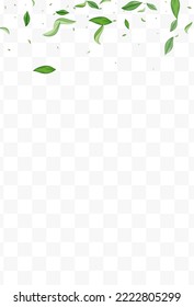 Grassy Greens Falling Vector Transparent Background Illustration. Blur Leaf Pattern. Green Leaves Abstract Template. Foliage Spring Border.