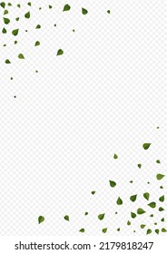 Grassy Greens Fly Vector Transparent Background Branch. Forest Foliage Banner. Lime Leaves Fresh Concept. Leaf Blur Plant.