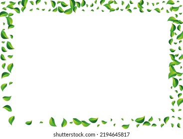 Grassy Greens Fly Vector White Background. Herbal Foliage Branch. Mint Leaves Tea Poster. Leaf Falling Plant.