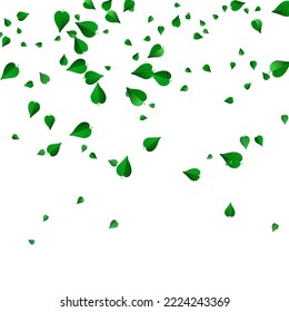 Grassy Greens Flying Vector White Background Backdrop. Organic Leaf Concept. Green Leaves Motion Template. Foliage Wind Border.