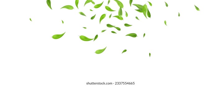 Grassy Greens Forest Vector Panoramic White Background Design. Ecology Foliage Concept. Forest Leaves Wind Border. Leaf Swirl Branch.