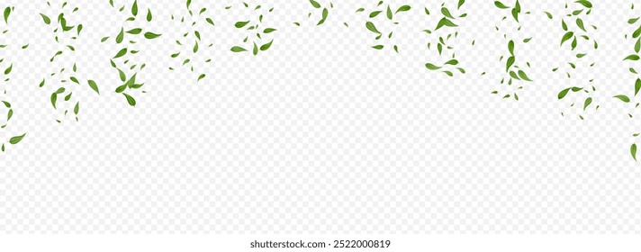 Grassy Greens Forest Vector Panoramic Transparent Background Pattern. Fly Leaf Backdrop. Forest Foliage Herbal Brochure. Leaves Flying Border.