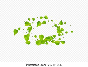 Grassy Greens Forest Vector Transparent Background Border. Ecology Leaf Poster. Olive Foliage Abstract Backdrop. Leaves Motion Concept.