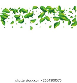 Grassy Greens Fresh Vector White Background. Abstract Leaf Brochure. Olive Leaves Herbal Wallpaper. Foliage Spring Border.
