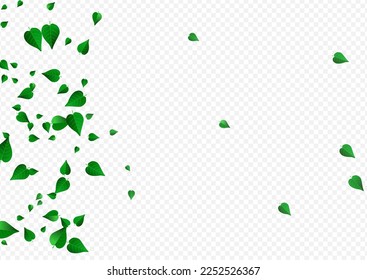 Grassy Greens Motion Vector Transparent Background Border. Spring Leaves Backdrop. Mint Foliage Blur Brochure. Leaf Tree Design.