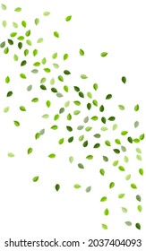 Grassy Greens Motion Vector Wallpaper. Forest Leaf Template. Swamp Foliage Swirl Pattern. Leaves Tea Border.