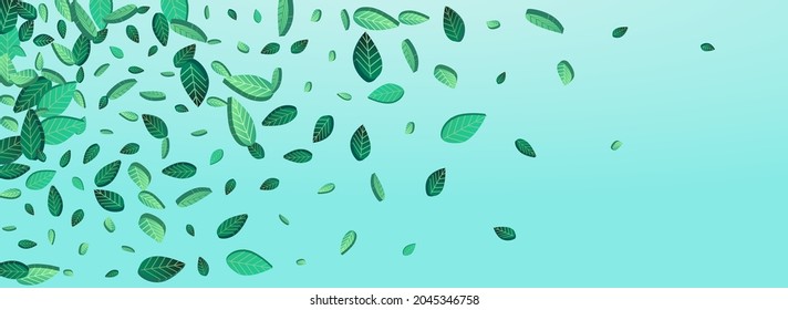 Vector de Naturaleza Grassy Greens Planta De Fondo Azul Panorámico. Afiche De Foliage Realista. Mint Deja El Diseño Orgánico. Ilustración de árbol de hoja.