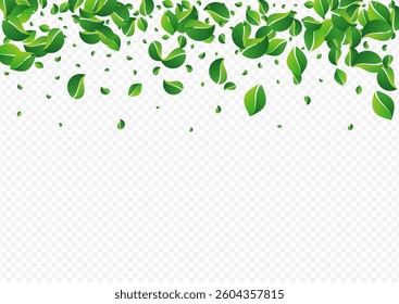Grassy Greens Nature Vector Transparent Background. Forest Foliage Backdrop. Mint Leaf Motion Wallpaper. Leaves Wind Branch.