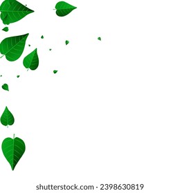 Grassy Greens Nature Vector White Background Plant. Wind Leaf Concept. Mint Foliage Abstract Backdrop. Leaves Spring Wallpaper.