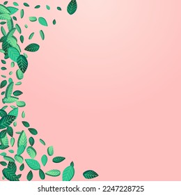 Grassy Greens Organic Vector Pink Background Branch. Tree Leaves Border. Olive Foliage Spring Template. Leaf Realistic Wallpaper.