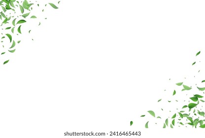 Grassy Greens Realist Vector White Background Branch. Concepto De Foliage Transparente. El pantano deja el folleto de primavera. Fondo de Ecología de Hojas.