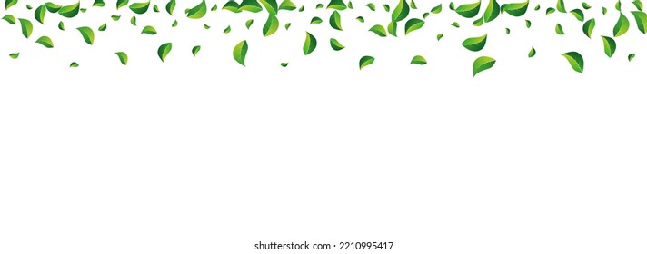 Grassy Greens Spring Vector Panoramic White Background. Transparent Foliage Pattern. Green Leaves Abstract Plant. Leaf Fly Brochure.