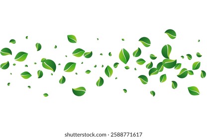 Grassy Greens Spring Vector White Background. Herbal Leaf Pattern. Swamp Leaves Organic Plant. Foliage Nature Backdrop.