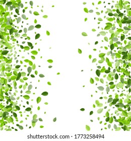 Grassy Greens Tree Vector Branch. Fly Leaves Concept. Forest Foliage Forest Backdrop. Leaf Flying Template.