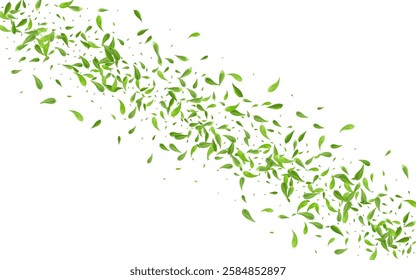 Grassy Greens Tree Vector White Background Plant. Ecology Foliage Pattern. Lime Leaves Forest Brochure. Leaf Herbal Branch.