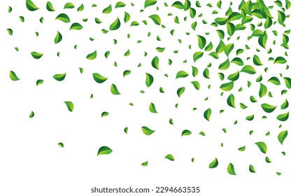 Grassy Greens Wind Vector White Background. Forest Foliage Banner. Forest Leaf Abstract Branch. Leaves Transparent Wallpaper.
