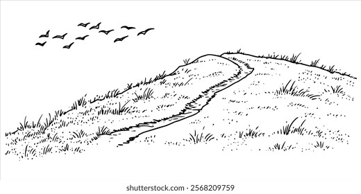 grassy hill with a winding path and birds in black design