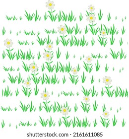 Grassy lawn. Plants with flowers, vector illustration