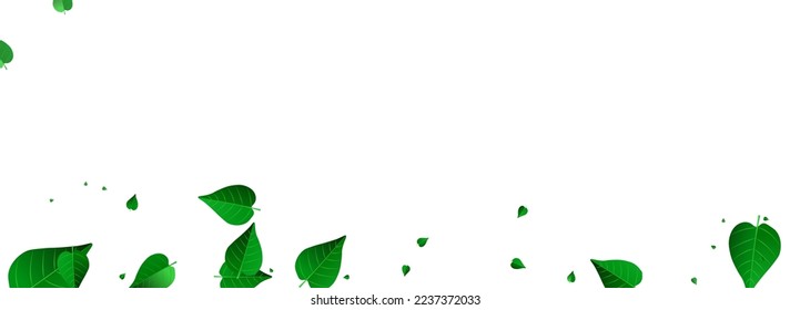 Grassy Leaf Abstract Vector Panoramic White Background Plant. Forest Foliage Brochure. Olive Greens Nature Branch. Leaves Transparent Poster.