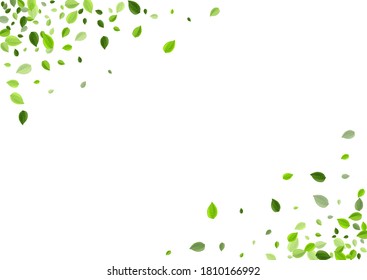 Grassy Leaf Blur Vector Background. Flying Leaves Illustration. Green Greens Motion Plant. Foliage Realistic Branch.