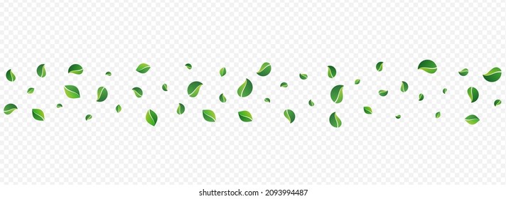Grassy Leaf Blur Vector Panoramic Transparent Background. Spring Greens Pattern. Swamp Foliage Ecology Plant. Leaves Transparent Banner.
