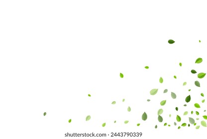 Grassy Leaf Blur Vector Poster. Fresh Greens Backdrop. Lime Foliage Flying Branch. Leaves Tea Border.