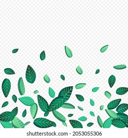 Grassy Leaf unscharfer Vektorhintergrund transparentes Konzept. Neue grüne Vorlage. Abstrakter Banner aus dem Wald. Blätterwaldplakat.