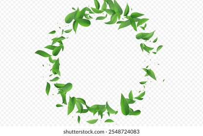 Grassy Leaf Blur Vector Transparent Background Concept. Falling Greens Plant. Forest Leaves Wind Pattern. Foliage Transparent Branch.