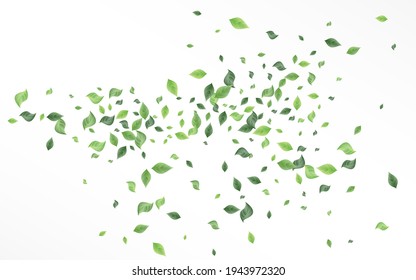 Grassy Leaf Blur Vector White Background Wallpaper. Falling Foliage Plant. Green Greenery Forest Backdrop. Leaves Flying Design.