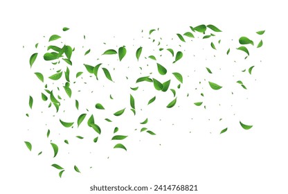 Grassy Leaf Blur Vector White Background Brochure. Tree Leaves Poster. Forest Foliage Transparent Border. Greens Wind Concept.