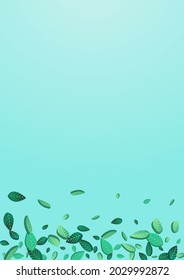Grassy Leaf Ecology Vector Blue Background Background. Realistic Foliage Poster. Green Leaves Herbal Plant. Greens Wind Wallpaper.