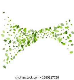 Grassy Leaf Ecology Vector Illustration. Nature Leaves Border. Lime Foliage Spring Concept. Greens Swirl Banner.