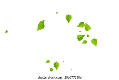 Grassy Leaf Ecology Vector White Background Design. Herbal Leaves Wallpaper. Swamp Greens Transparent Template. Foliage Realistic Illustration.