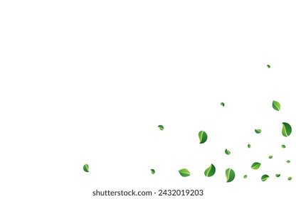 Grassy Leaf Ecology Vector White Background. Wind Foliage Border. Green Leaves Tree Plant. Greens Transparent Illustration.