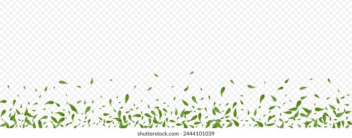 Grassy Leaf Fly Vector Panoramic Transparent Background Border. Wind Leaves Poster. Olive Foliage Falling Concept. Greens Forest Template.