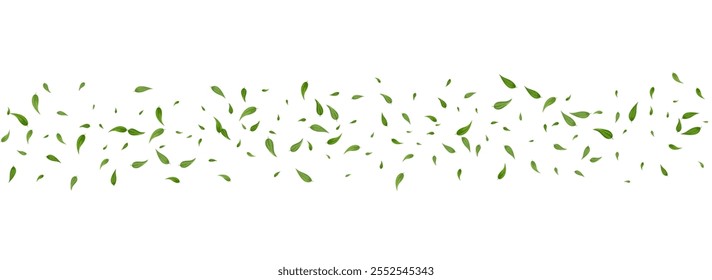 Grassy Leaf Fly Vector Panoramic White Background Illustration. Ecology Leaves Brochure. Green Greens Swirl Border. Foliage Nature Plant.