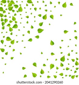 Grassy Leaf Fly Vector White Background Banner. Motion Greens Backdrop. Swamp Foliage Organic Poster. Leaves Herbal Template.