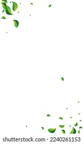 Grassy Leaf Fly Vector White Background. Falling Leaves Template. Green Foliage Abstract Pattern. Greens Tree Design.