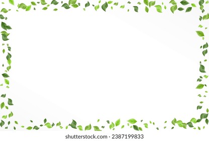 Grassy Leaf Flying Vector White Background Poster. Forest Greenery Plant. Swamp Leaves Nature Template. Foliage Swirl Brochure.