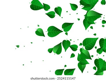 Grassy Leaf Flying Vector White Background Pattern. Realistic Greens Concept. Lime Leaves Blur Poster. Foliage Swirl Border.