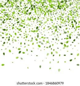 Grassy Leaf Forest Vector Concept. Falling Greens Template. Forest Leaves Ecology Branch. Foliage Spring Poster.